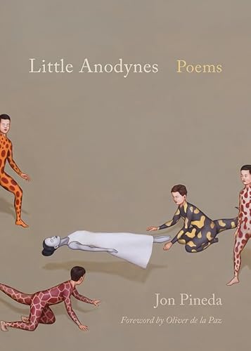 Stock image for Little Anodynes: Poems for sale by Revaluation Books