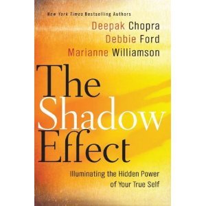 9781611290622: The Shadow Effect: Illuminating the Hidden Power of Your True Self