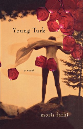 9781611453034: Young Turk: A Novel