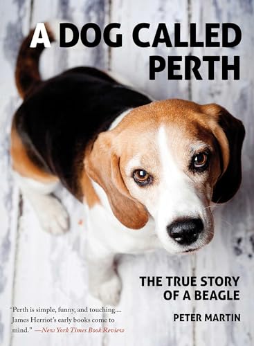 9781611458794: A Dog Called Perth: The True Story of a Beagle