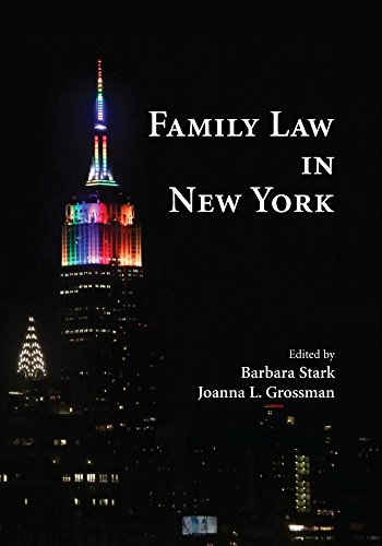 Beispielbild fr Family Law in New York zum Verkauf von Revaluation Books