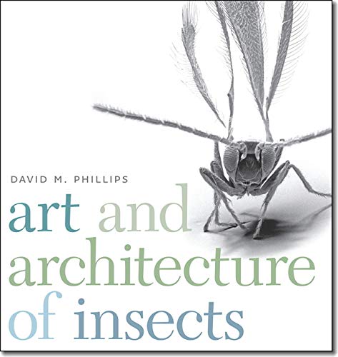 9781611685329: Art and Architecture of Insects