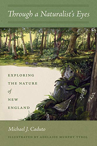 Stock image for Through a Naturalist's Eyes: Exploring the Nature of New England for sale by ThriftBooks-Atlanta