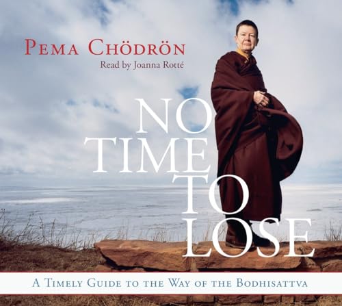 Stock image for No Time to Lose: A Timely Guide to the Way of the Bodhisattva for sale by Half Price Books Inc.