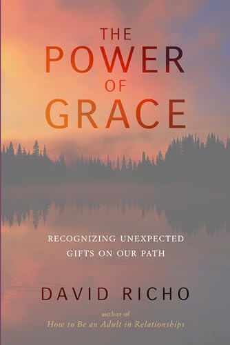 9781611801460: The Power of Grace: Recognizing Unexpected Gifts on Our Path