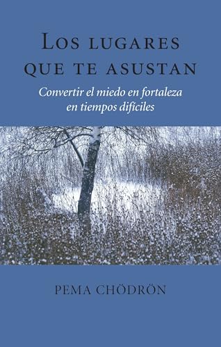 9781611802238: Los lugares que te asustan / The Places That Scare You: Convertir El Miedo En Fortaleza En Tiempos Dificiles
