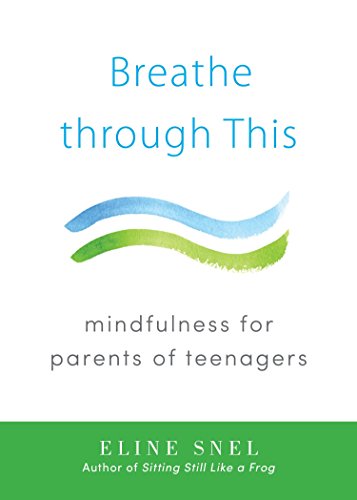 9781611802467: Breathe through This: Mindfulness for Parents of Teenagers