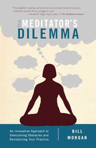 Stock image for The Meditator's Dilemma: An Innovative Approach to Overcoming Obstacles and Revitalizing Your Practice for sale by Jenson Books Inc