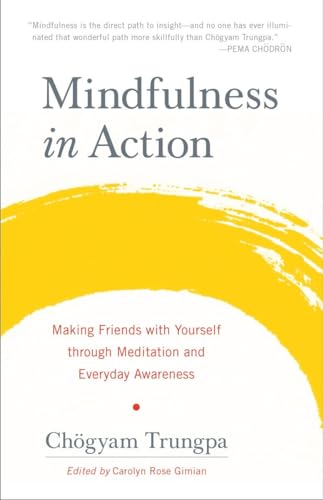 Beispielbild fr Mindfulness in Action: Making Friends with Yourself through Meditation and Everyday Awareness zum Verkauf von BooksRun