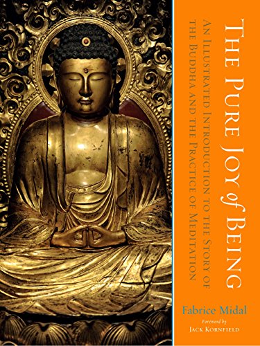 9781611804843: The Pure Joy of Being: An Illustrated Introduction to the Story of the Buddha and the Practice of Meditation