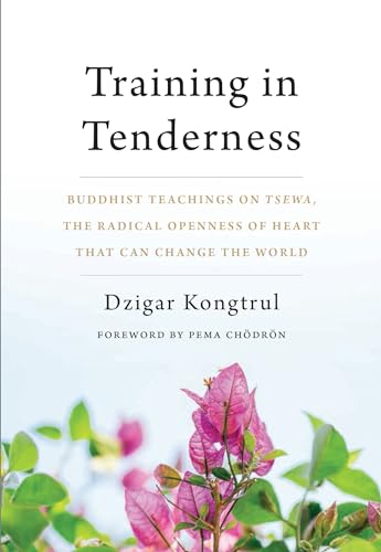 9781611805581: Training In Tenderness: Buddhist Teachings on Tsewa, the Radical Openness of Heart That Can Change the World