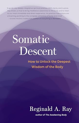 Imagen de archivo de Somatic Descent: How to Unlock the Deepest Wisdom of the Body a la venta por Half Price Books Inc.