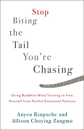 Beispielbild fr Stop Biting the Tail You're Chasing : Using Buddhist Mind Training to Free Yourself from Painful Emotional Patterns zum Verkauf von Better World Books