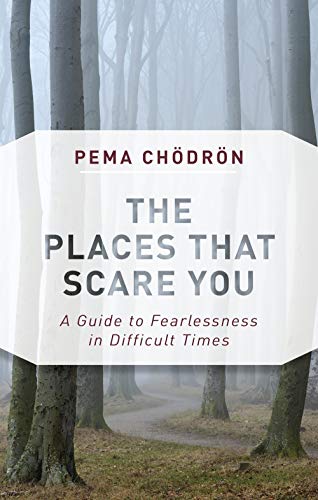 9781611805963: The Places That Scare You: A Guide to Fearlessness in Difficult Times