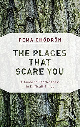 9781611805963: The Places That Scare You: A Guide to Fearlessness in Difficult Times