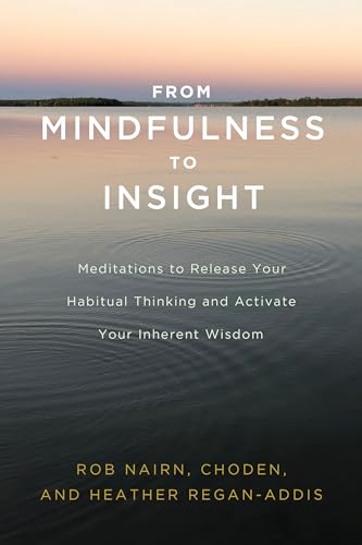 Beispielbild fr From Mindfulness to Insight: Meditations to Release Your Habitual Thinking and Activate Your Inherent Wisdom zum Verkauf von Goodwill of Colorado