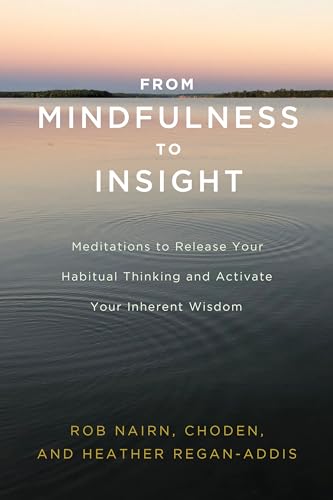 Imagen de archivo de From Mindfulness to Insight: Meditations to Release Your Habitual Thinking and Activate Your Inherent Wisdom a la venta por Goodwill of Colorado