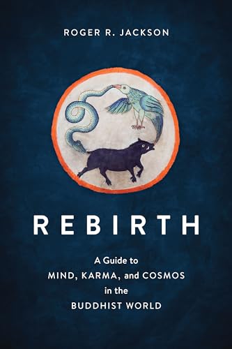 Stock image for Rebirth: A Guide to Mind, Karma, and Cosmos in the Buddhist World for sale by Florida Mountain Book Co.