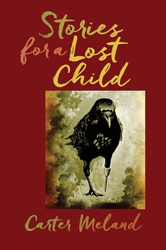 9781611862447: Stories for a Lost Child (American Indian Studies)