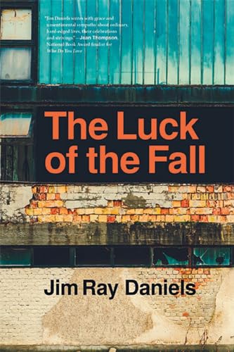 Imagen de archivo de The Luck of the Fall a la venta por ThriftBooks-Dallas