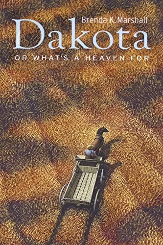 Stock image for Dakota, or What's a Heaven For for sale by WorldofBooks