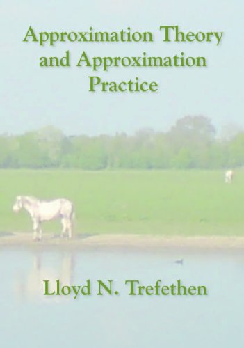 Imagen de archivo de Approximation Theory and Approximation Practice (Applied Mathematics) a la venta por Phatpocket Limited