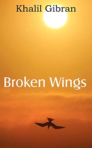 Beispielbild fr Broken Wings zum Verkauf von medimops