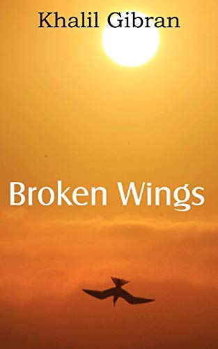 9781612039916: Broken Wings