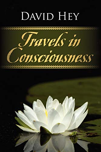 Stock image for Travels in Consciousness for sale by HPB-Red