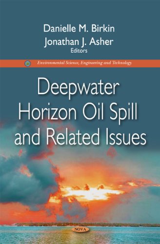 Stock image for Deepwater Horizon Oil Spill & Related Issues (Environmental Science, Engineering and Technology) for sale by WorldofBooks