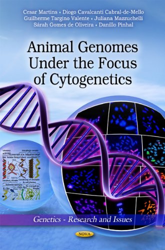 9781612093901: Animal Genomes Under the Focus of Cytogenetics (Genetics-research and Issues)