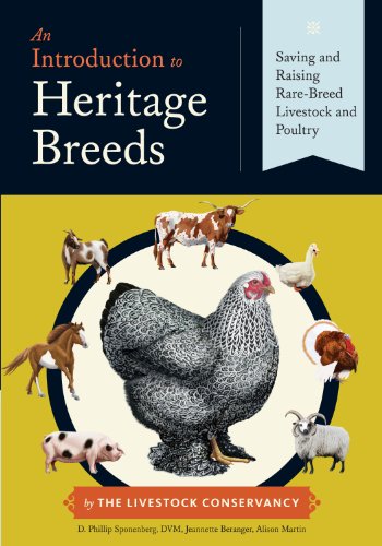Imagen de archivo de An Introduction to Heritage Breeds: Saving and Raising Rare-Breed Livestock and Poultry a la venta por Goodwill