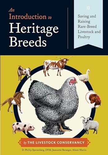 Stock image for An Introduction to Heritage Breeds: Saving and Raising Rare-Breed Livestock and Poultry for sale by BooksRun