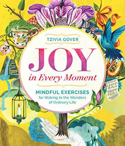 Stock image for Joy in Every Moment: Mindful Exercises for Waking to the Wonders of Ordinary Life for sale by ZBK Books