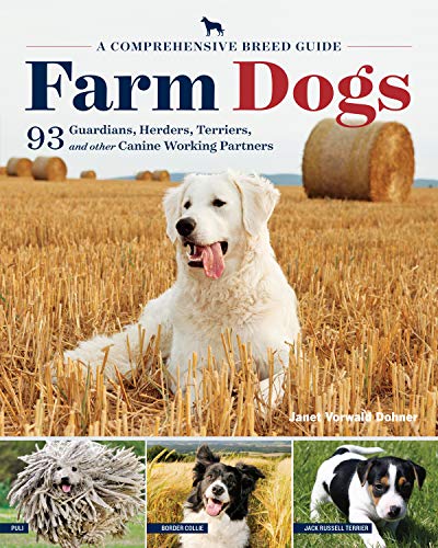 Stock image for Farm Dogs: A Comprehensive Breed Guide to 93 Guardians, Herders, Terriers, and Other Canine Working Partners for sale by Bookoutlet1