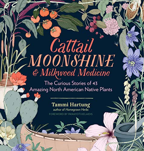 Stock image for Cattail Moonshine Milkweed Medicine: The Curious Stories of 43 Amazing North American Native Plants for sale by Goodwill Books