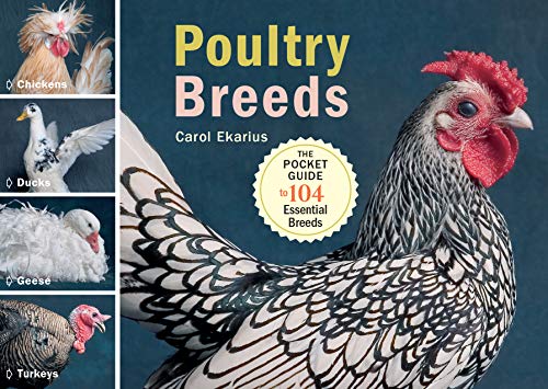 Stock image for Poultry Breeds: Chickens, Ducks, Geese, Turkeys: The Pocket Guide to 104 Essential Breeds for sale by HPB-Emerald