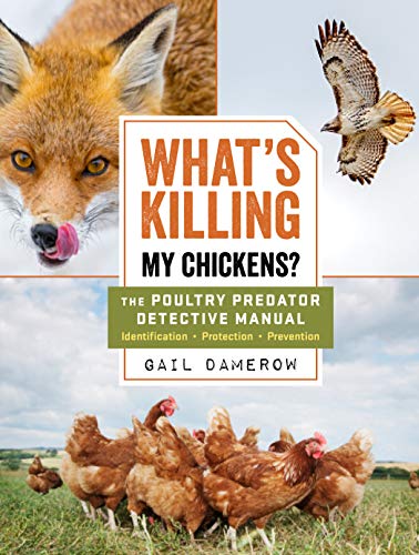 Stock image for What's Killing My Chickens?: The Poultry Predator Detective Manual for sale by ThriftBooks-Dallas