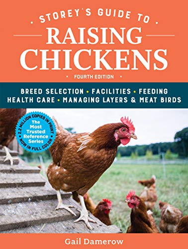 Beispielbild fr Storeys Guide to Raising Chickens, 4th Edition: Breed Selection, Facilities, Feeding, Health Care, Managing Layers Meat Birds zum Verkauf von Goodwill Books