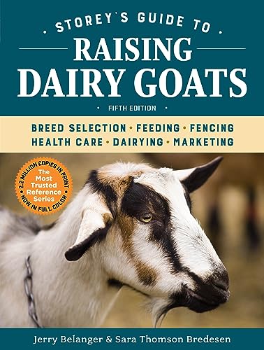 Stock image for Storey's Guide to Raising Dairy Goats: Breed Selection, Feeding, Fencing, Health Care, Dairying, Marketing for sale by THE SAINT BOOKSTORE