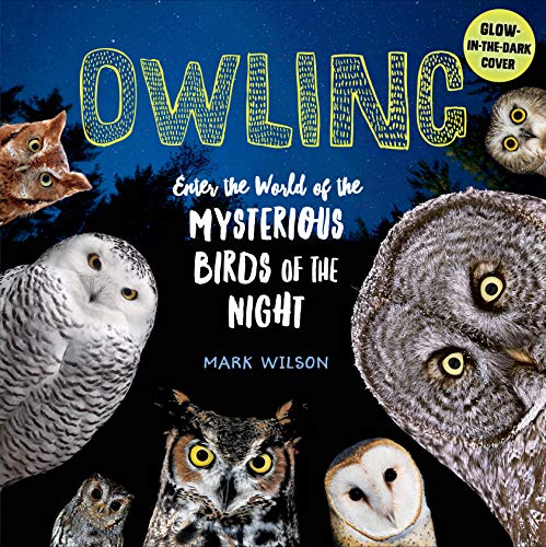 Beispielbild fr Owling : Enter the World of the Mysterious Birds of the Night zum Verkauf von Better World Books