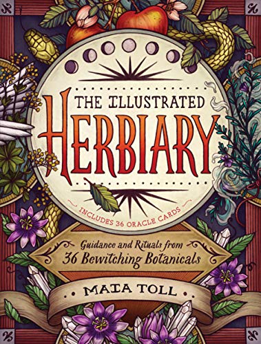 Stock image for The Illustrated Herbiary: Guidance and Rituals from 36 Bewitching Botanicals (Wild Wisdom) for sale by SecondSale