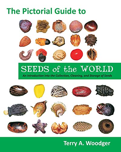 Imagen de archivo de The Pictorial Guide to Seeds of the World: An Introduction Into the Collection, Cleaning, and Storage of Seeds a la venta por Cronus Books