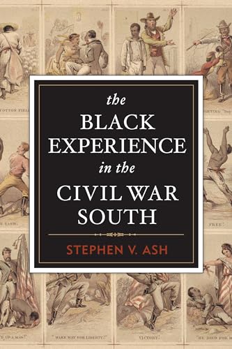 Imagen de archivo de The Black Experience in the Civil War South a la venta por HPB-Red