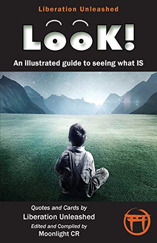 Beispielbild fr Look!- An Illustrated Guide to Seeing What Is zum Verkauf von WorldofBooks