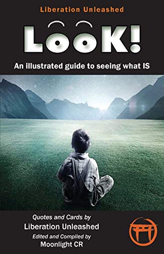 9781612428680: Look!- An Illustrated Guide to Seeing What Is