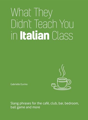 Stock image for What They Didn't Teach You in Italian Class: Slang Phrases for the Cafe, Club, Bar, Bedroom, Ball Game and More (Dirty Everyday Slang) for sale by ZBK Books