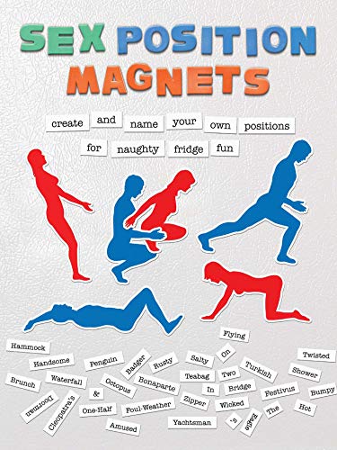 Beispielbild fr Sex Positions Magnets: Create and Name Your Own Positions for Naughty Fridge Fun zum Verkauf von WorldofBooks