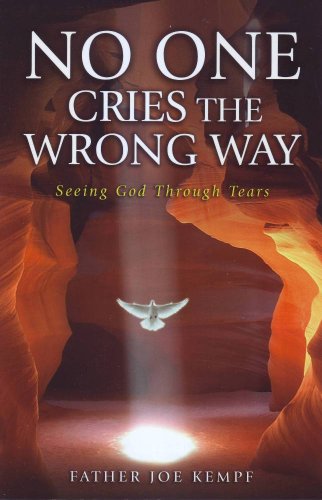 Stock image for No One Cries the Wrong Way: Seeing God Through Tears for sale by ThriftBooks-Dallas