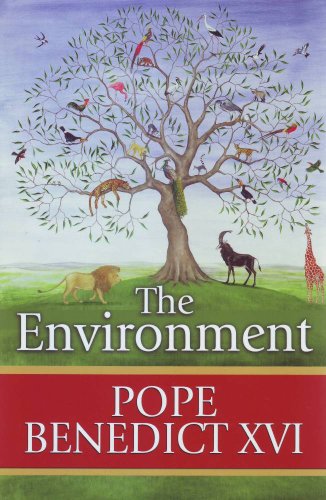 Beispielbild fr The Environment zum Verkauf von Wonder Book